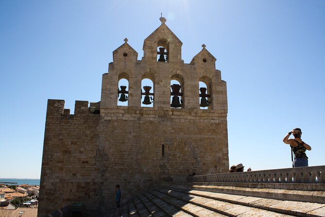 Camargue Small-Group Day Trip from Avignon - Should you book the Camargue day trip from Avignon?