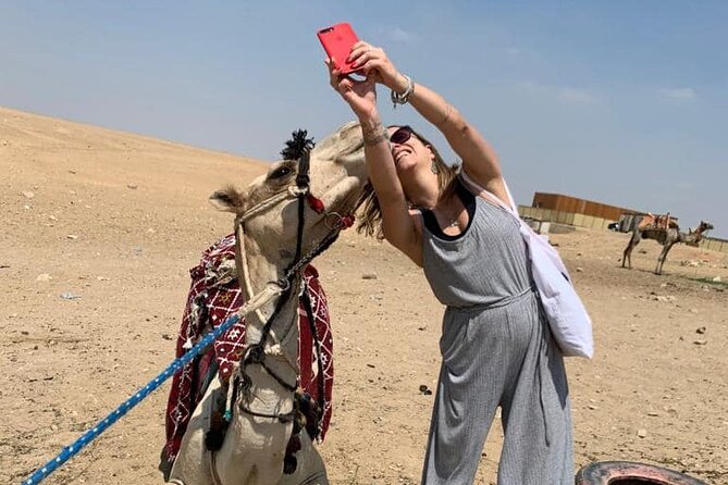 camel or horse Ride in Desert any time from Cairo or Giza hotels - Choosing a camel, horse, or carriage
