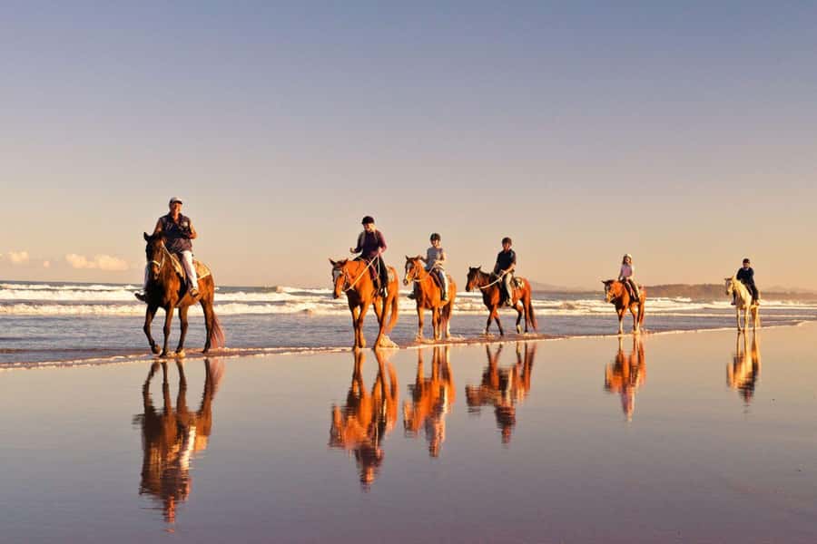 Cape Town: Beach Horse Ride with Hotel Pickup & Drop-off - The Atlantic setting makes this ride special