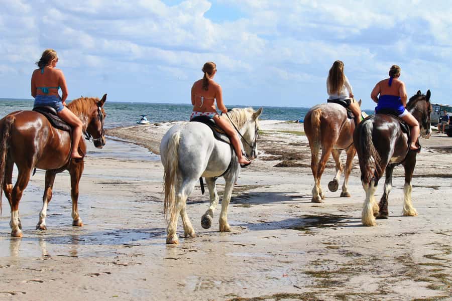 Cape Town: Beach Horse Ride with Hotel Pickup & Drop-off - The beach ride itself