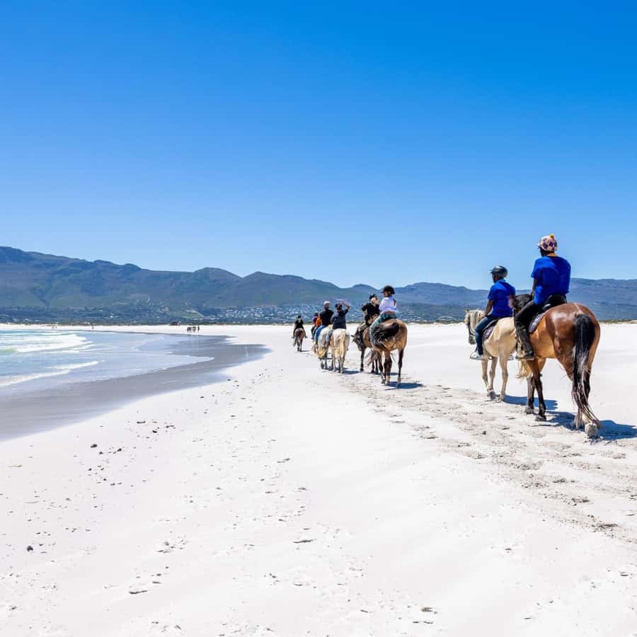 Cape Town: Beach Horse Ride with Hotel Pickup & Drop-off - Who will enjoy this experience most