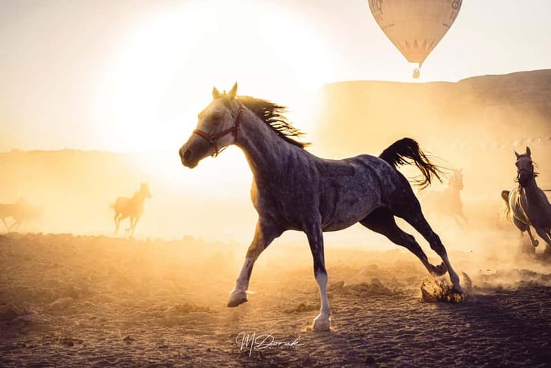 Cappadocia: Fascinating Horse Tour in Göreme Valleys - At a glance
