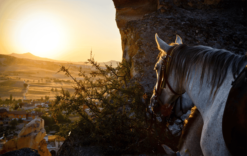 Cappadocia Horse Riding &Atv Quad Bike & Shooting with Camel - A 15-minute camel photo session