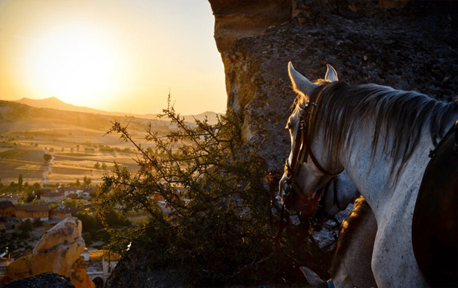 Cappadocia Horse Riding &Atv Quad Bike & Shooting with Camel - An hour on an ATV through Cappadocia