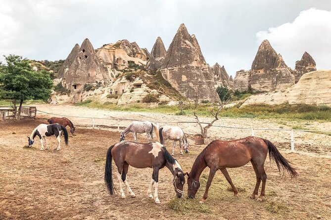 Cappadocia Horse Riding Tour: Sunrise, Sunset, 1 Hour or 2 Hours - Meeting the horses and getting ready