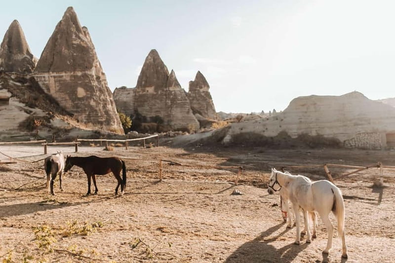 Cappadocia: Horse Riding Tour with Hotel Transfer - Key points before you book
