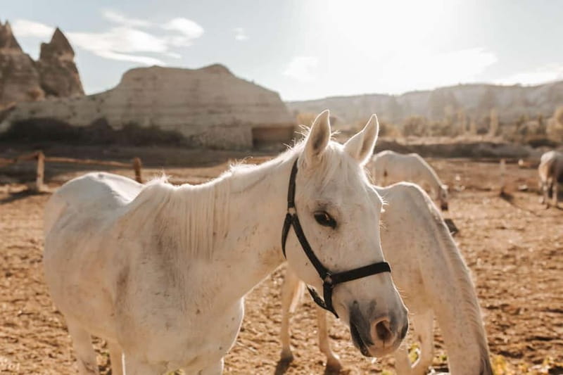 Cappadocia: Horse Riding Tour with Hotel Transfer - The value of a $32 Cappadocia outing