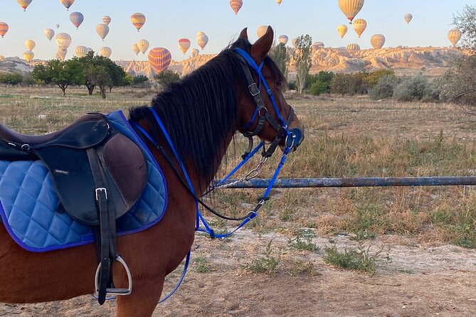 Cappadocia Horseback Ride through Valleys — Sunset/hoteltransfer - The return to Çavuşin and the real timing