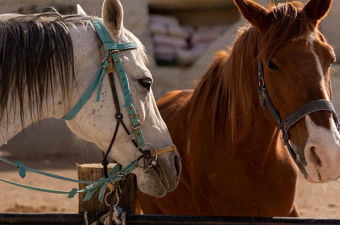 Cappadocia Horseback Riding Experience Sunrise, Daytime & Sunset - Sword Valley and the value of the route