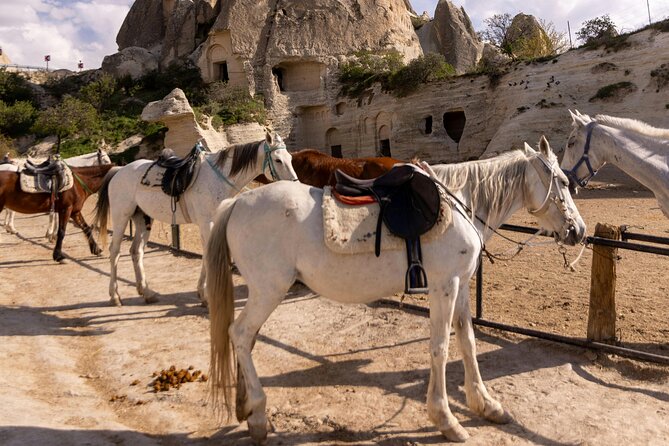 Cappadocia Horseback Riding Experience Sunrise, Daytime & Sunset - Calm horses and help for first-time riders