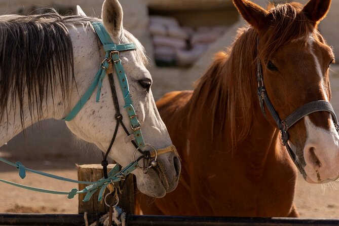 Cappadocia Horseback Riding Experience Sunrise, Daytime & Sunset - Is $27.55 good value?