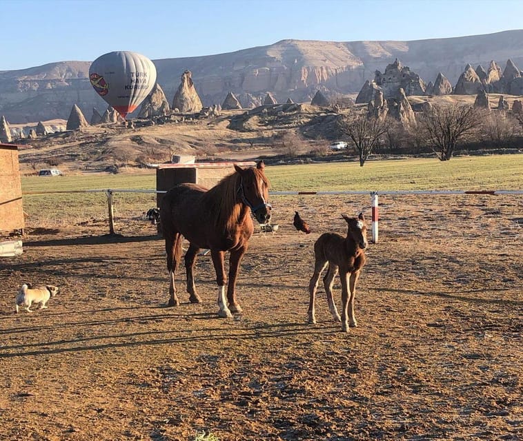 Cappadocia: Horseback Riding Tour in Cappadocia Valleys - Safety matters more than a perfect photograph