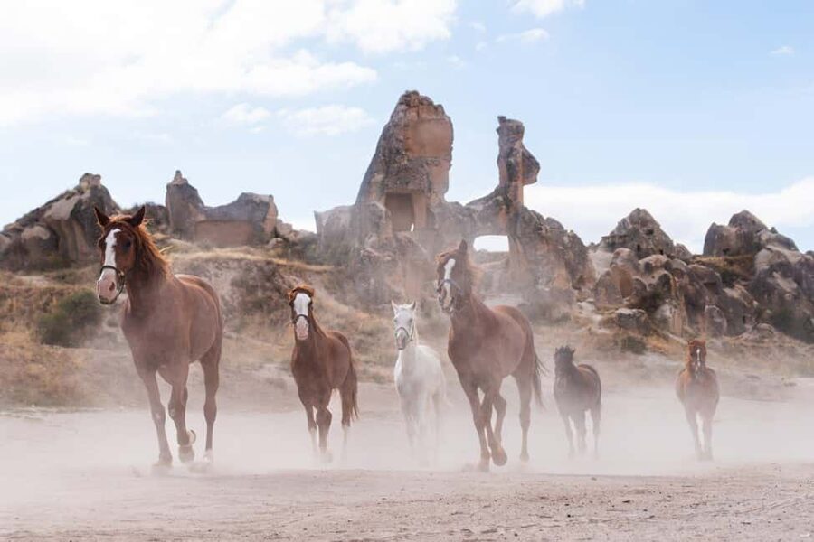 Cappadocia :Horseback Riding Tour Rose-Red Valley/LoveValley - Why horseback riding suits Cappadocia