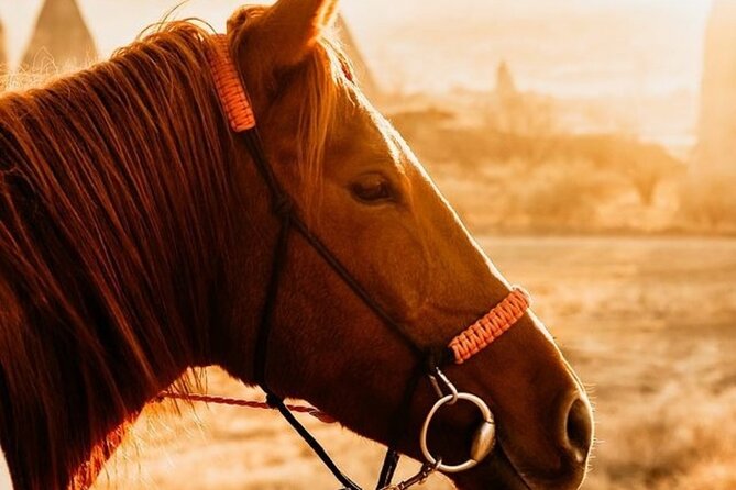 Cappadocia Horseback Riding Tour (Transfer Included) - The riding lesson makes a difference