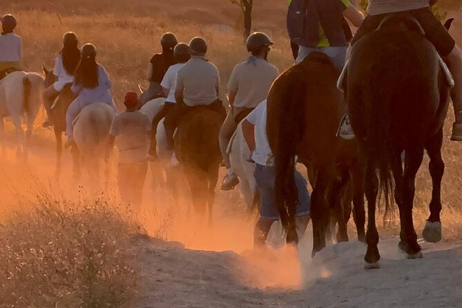 Cappadocia Horseback Sunset & Sunrise - The horses and the pace of the ride