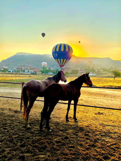 Cappadocia's Sunrise Horseback Riding - Riding Through Rose Valley at First Light