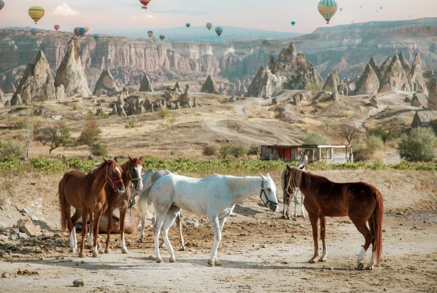 Cappadocia: Sunset Horseback-Riding Tour - Rock-cut churches along the trail