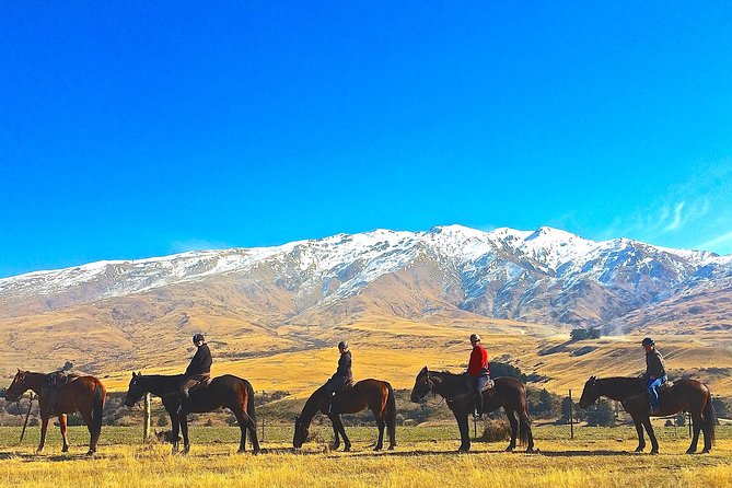 Cardrona High Country Pub Trail Horse Trek (Intermediate level+) - A high-country ride, not a beginner lesson