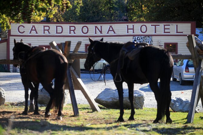 Cardrona High Country Pub Trail Horse Trek (Intermediate level+) - Crossing the river and riding beside working farms