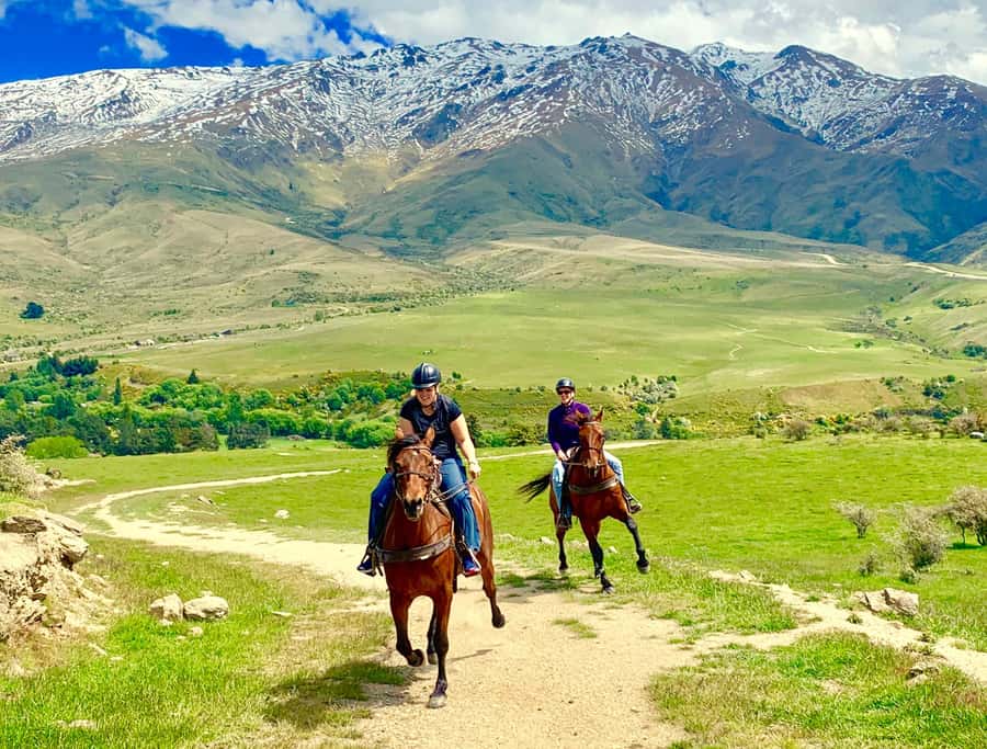 Cardrona Valley: Horse Trekking Experience - Meeting a calm horse with a distinct personality