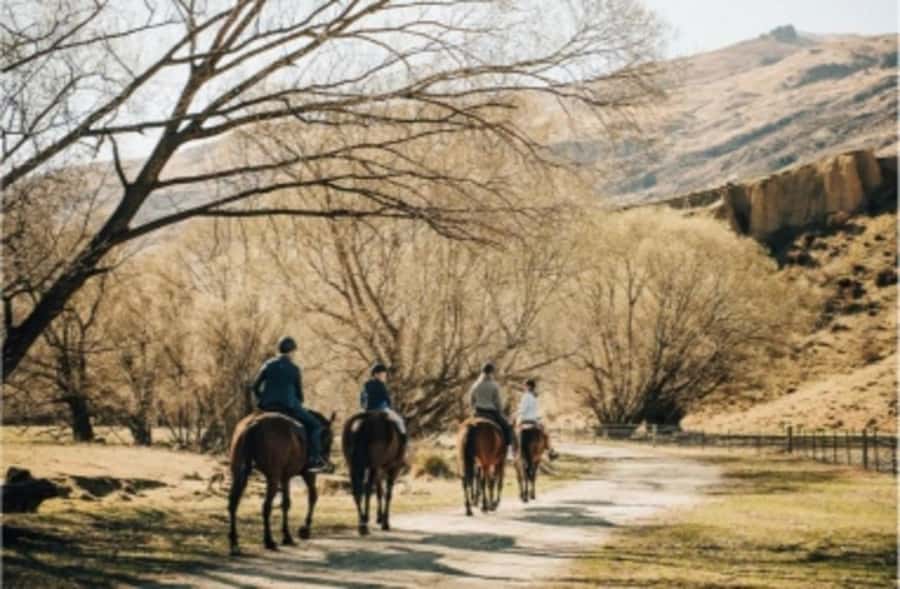 Cardrona Valley: Horse Trekking Experience - Riding Cardrona Valley at a loose rein