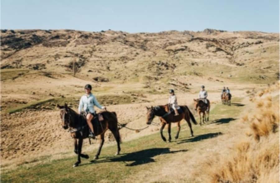 Cardrona Valley: Horse Trekking Experience - Choosing between a gentle ride and the High Country Pub Trail