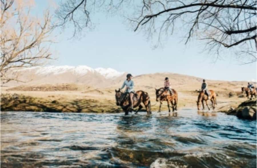 Cardrona Valley: Horse Trekking Experience - Practical details before you reserve