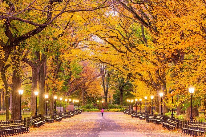 Carriage Ride in Central Park (VIP - PRIVATE) Since 1964™ - Key things to know before booking