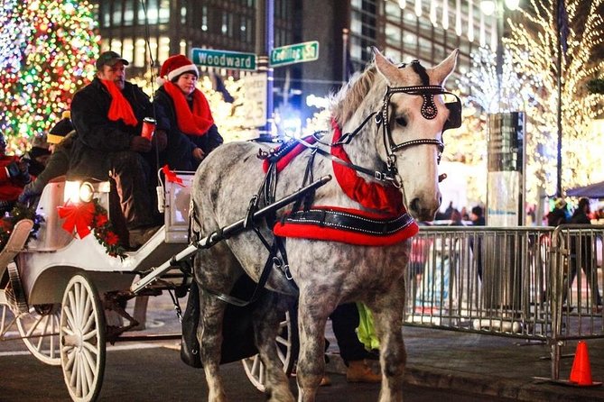 Carriage Ride in Central Park (VIP - PRIVATE) Since 1964™ - A quiet ride through Central Park