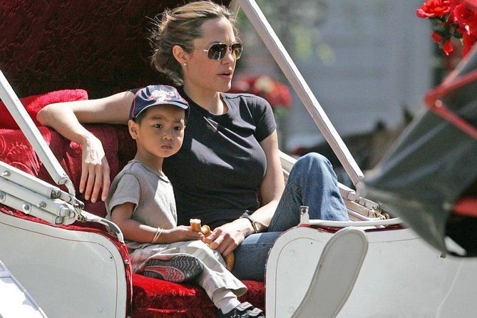 Carriage Ride in Central Park (VIP - PRIVATE) Since 1964™ - Daylight, darkness, cold, and rain