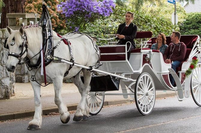Carriage Ride in Central Park (VIP - PRIVATE) Since 1964™ - Is the $14.99 group price good value?