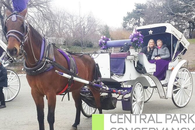 Carriage Ride in Central Park (VIP - PRIVATE) Since 1964™ - Timing and meeting point details