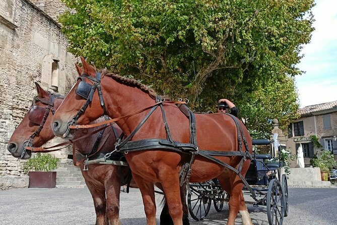Carriage rides in the heart of the Luberon - The horses and carriage are part of the attraction