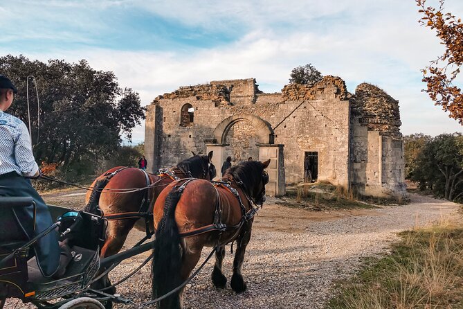 Carriage rides, Pays de Sommières - Meeting Johana and Jezabel