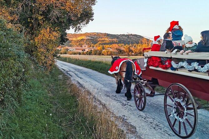 Carriage rides, Pays de Sommières - Who Will Enjoy This Ride Most