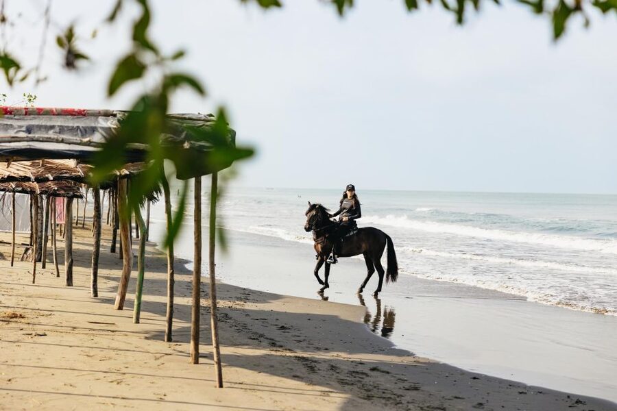 Cartagena: Beach Horse Ride and Colombian Equestrian Culture - Cancellation and planning flexibility