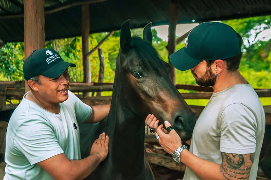 Cartagena: Beach Horse Ride and Colombian Equestrian Culture - Choosing a horse for your riding level
