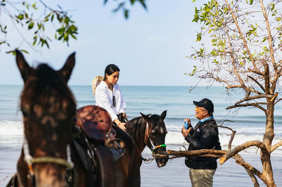 Cartagena: Beach Horse Ride and Colombian Equestrian Culture - Riding beside the water for about two hours