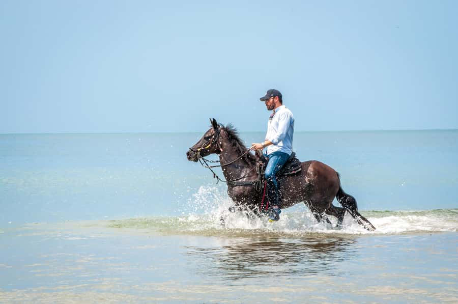Cartagena: Beach Horse Ride and Colombian Equestrian Culture - What you pay for at $186