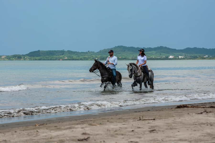 Cartagena: Beach Horse Ride and Colombian Equestrian Culture - Hotel pickup and the short trip to the ranch