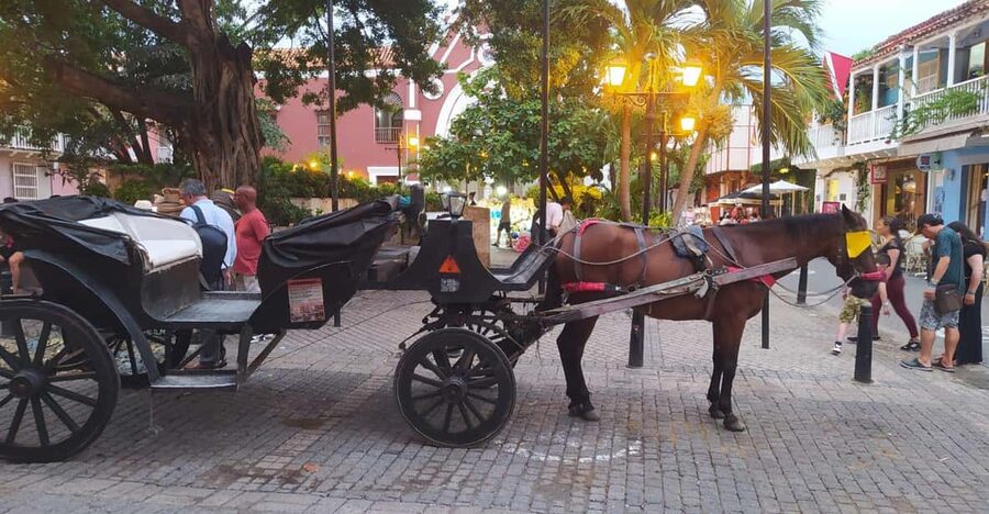 Cartagena: COLLONIAL HORSE DRAWN CARRIAGE by THE OLD CITY - Seeing Cartagena at carriage pace