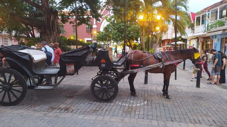Cartagena: COLLONIAL HORSE DRAWN CARRIAGE by THE OLD CITY - Santo Domingo Square: a lively first look