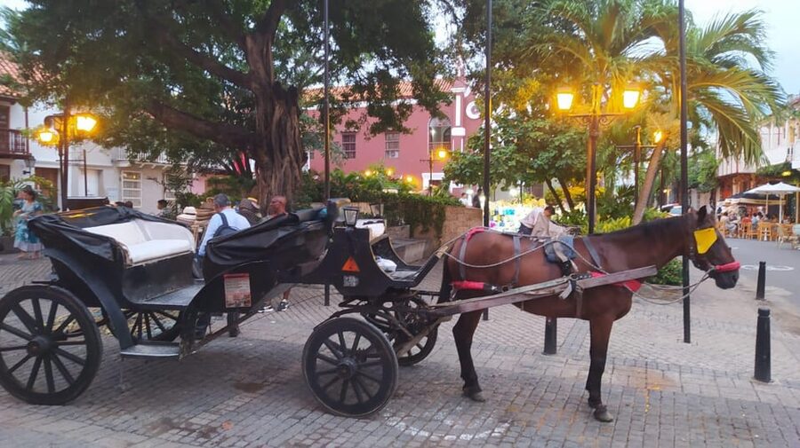 Cartagena: COLLONIAL HORSE DRAWN CARRIAGE by THE OLD CITY - Bolívar Park and the cathedral