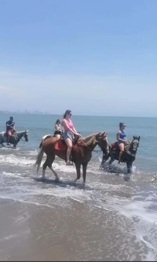 Cartagena: Horse Riding on the Beach with Photos and Lunch - What the beach ride near Cartagena is really like