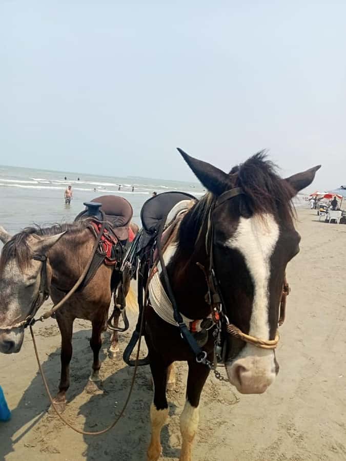 Cartagena: Horse Riding on the Beach with Photos and Lunch - Photos and videos without carrying your own camera