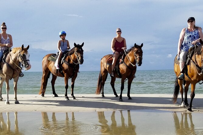 Cartagena: Horseback Riding at the Beach During Day or Sunset - Riding Cartagena’s quieter edge at La Boquilla