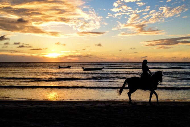 Cartagena: Horseback Riding at the Beach During Day or Sunset - Why the sunset departure is worth considering