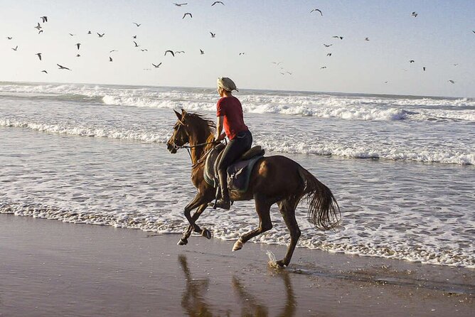 Cartagena: Horseback Riding at the Beach During Day or Sunset - The seaside restaurant finish