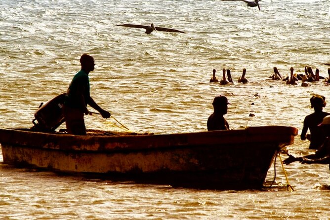 Cartagena: Horseback Riding at the Beach During Day or Sunset - The meeting point deserves careful planning