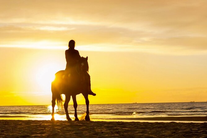 Cartagena: Horseback Riding at the Beach During Day or Sunset - Weather, clothing, and comfort